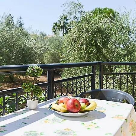 公寓 Arxontikoapartments Avía